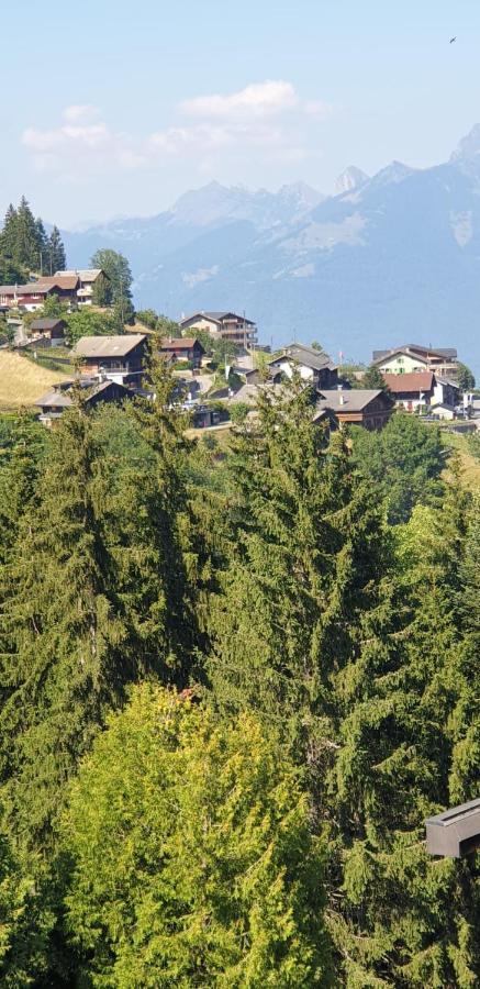 Residence « Les Cretes » Torgon Dış mekan fotoğraf