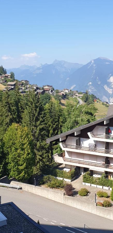 Residence « Les Cretes » Torgon Dış mekan fotoğraf